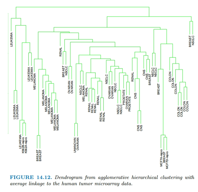 Dendogram Example