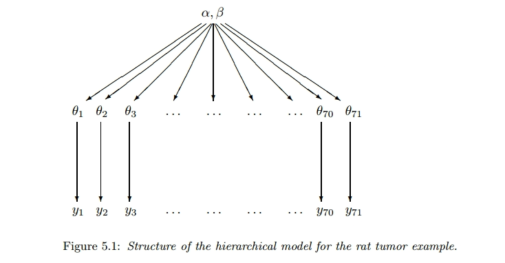 Rat Hierarchical Model