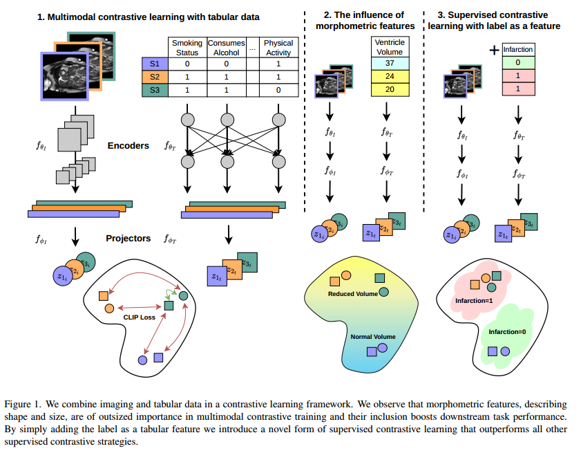 Multimodal Contrastive Learning