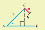 Oblique Triangle with Acute angle