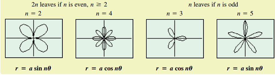 Polar Equations (Rose Curves)