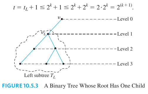 Maximum Height of a Binary Tree
