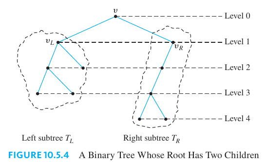 Maximum Height of a Binary Tree