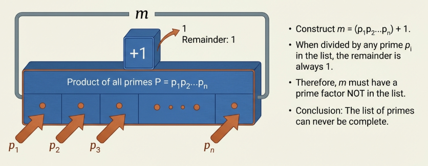 Infinite Prime Numbers