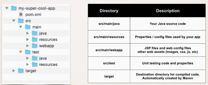 Standard Directory Structure